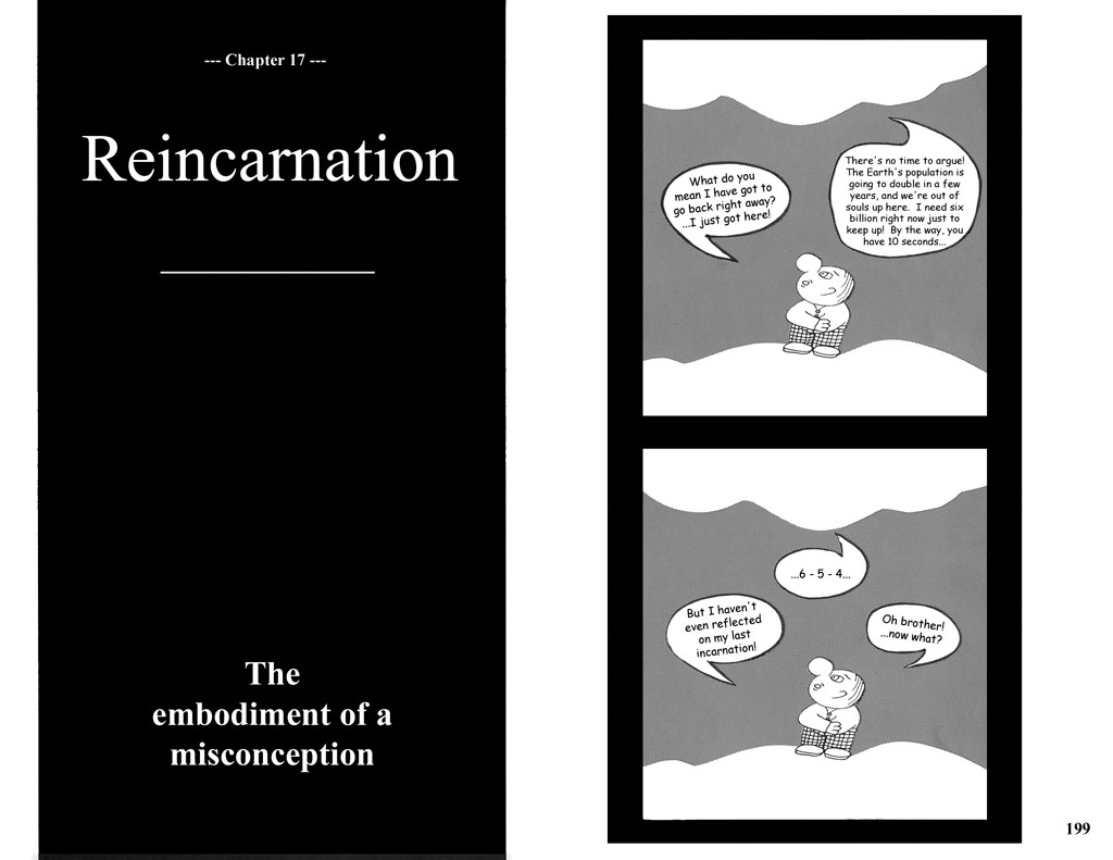 do you believe in reincarnation essay